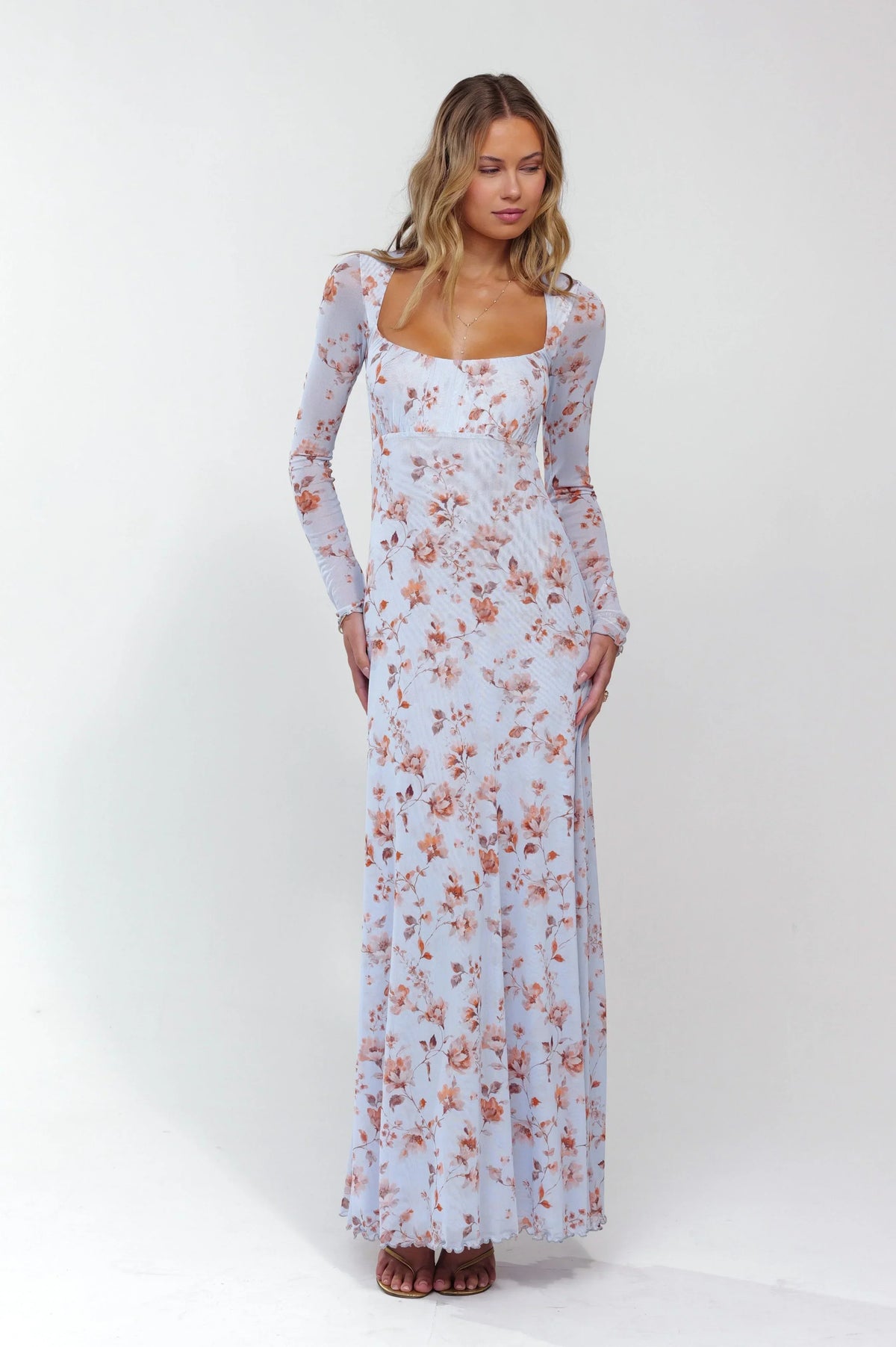 Sheveta Brittany Dress In Whimsy