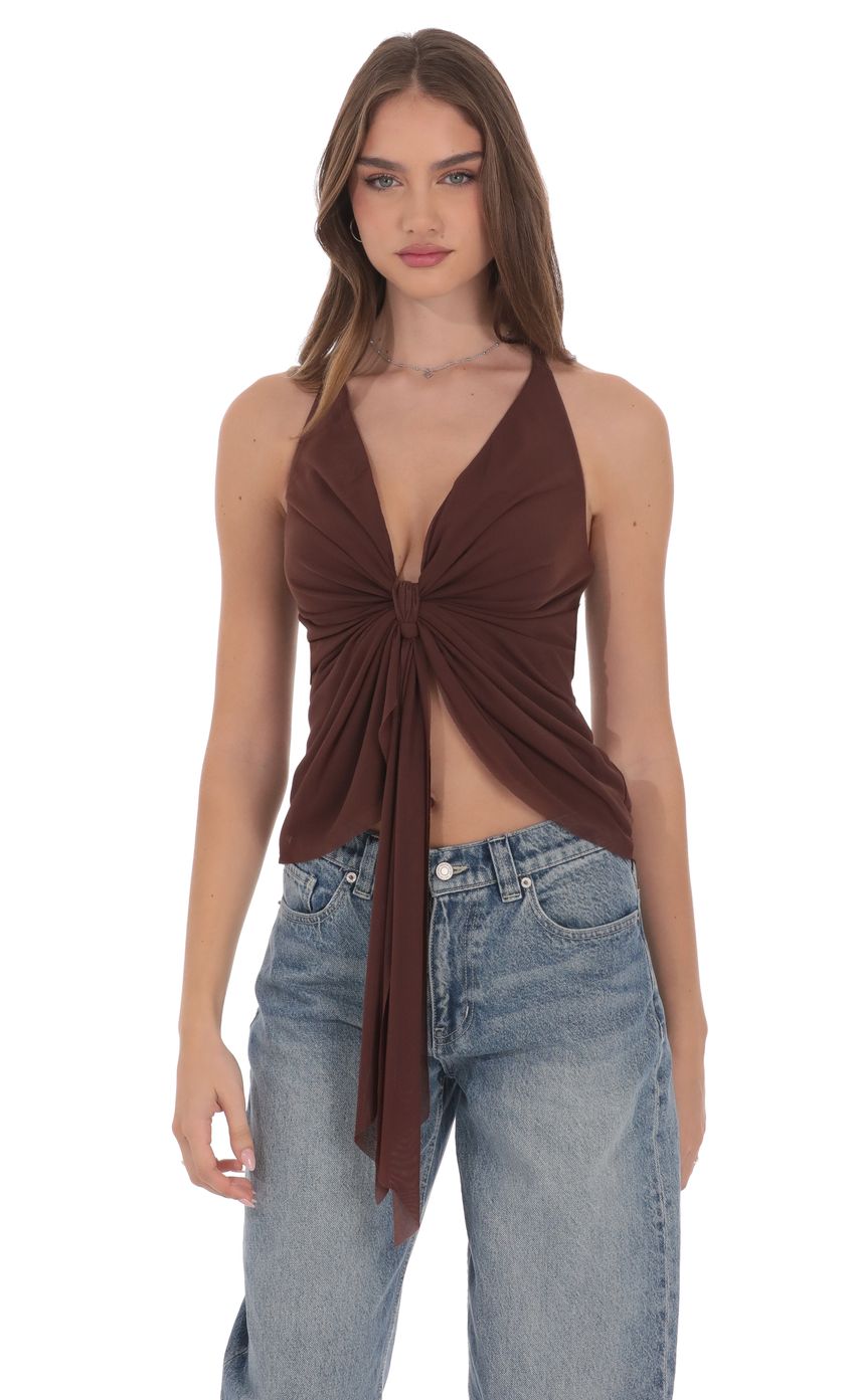 Mesh Plunge Two-Piece Tie Top in Brown
